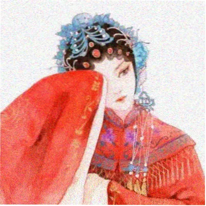 观众林间有雾的头像